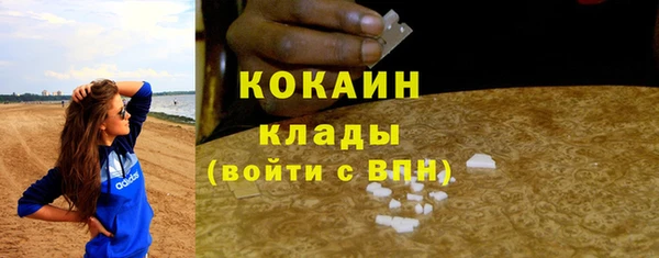 сатива Вязники