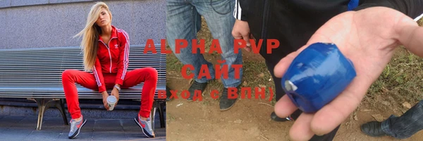 хмурый Алексин