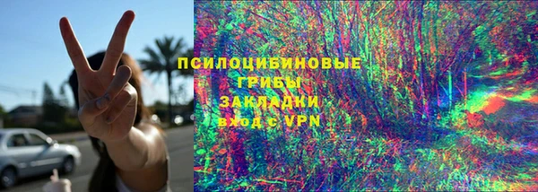 хмурый Алексин