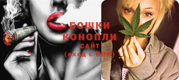 МДПВ Горнозаводск