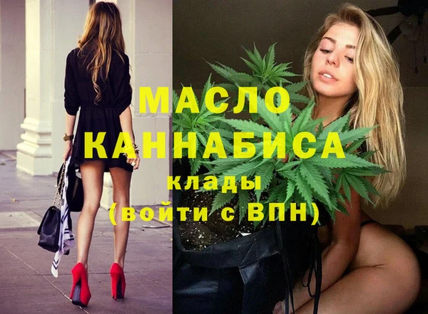 прущая мука Вяземский