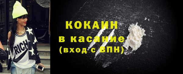 хмурый Алексин