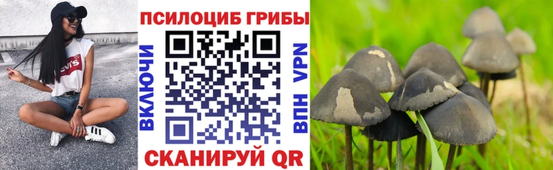 Псилоцибиновые грибы GOLDEN TEACHER Петрозаводск