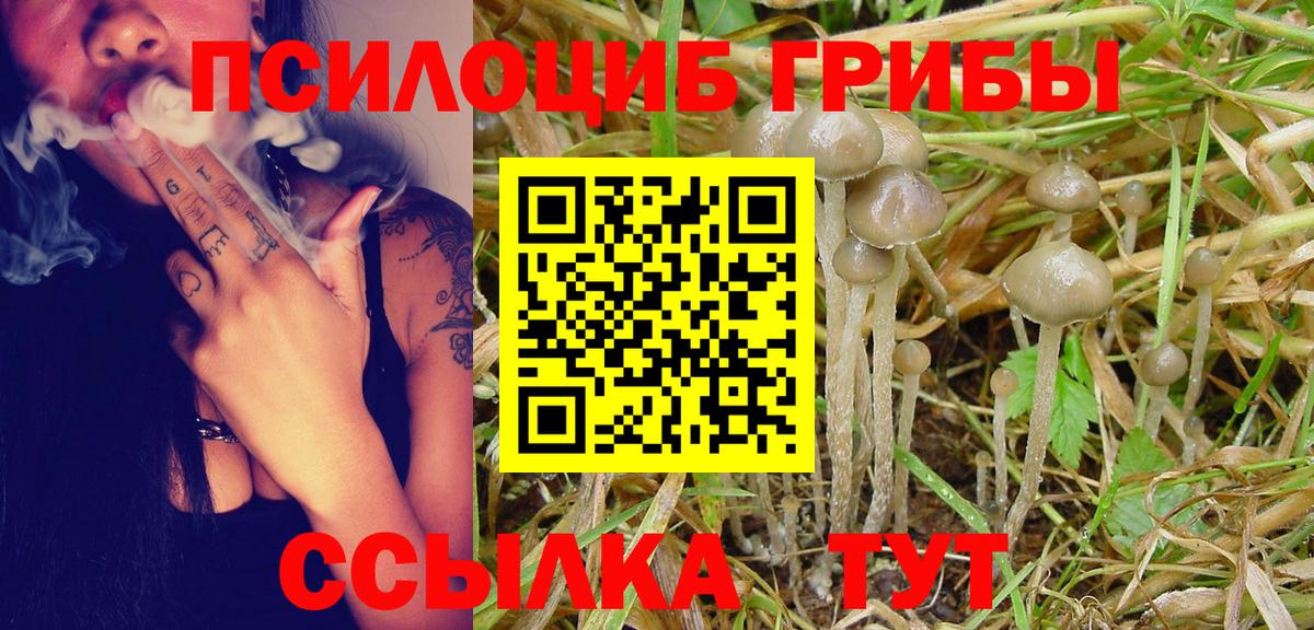 Петрозаводск  Галлюциногенные грибы Cubensis  Вход с VPN 
