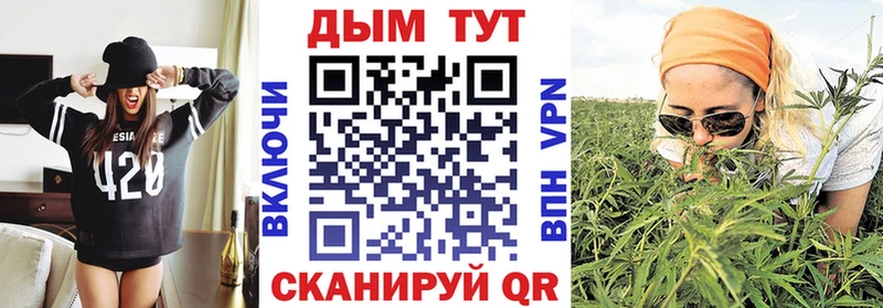 закладка  Петрозаводск  Конопля ГИДРОПОН 